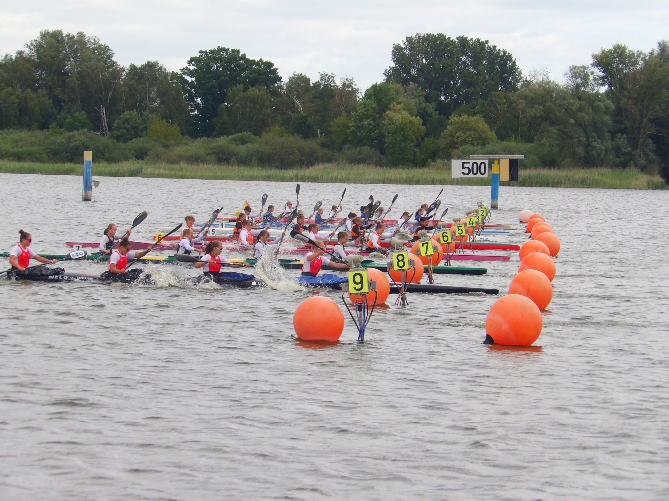 Programme BRANDENBURG REGATTEN